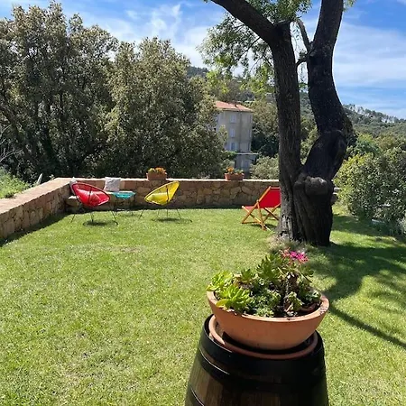 Studio Au Coeur De Piana Avec Jardin Vue Mer