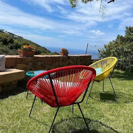別荘 Studio Au Coeur De Piana Avec Jardin Vue Mer ピアナ