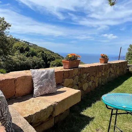Studio Au Coeur De Piana Avec Jardin Vue Mer 別荘 ピアナ