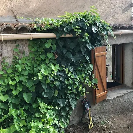 Studio Au Coeur De Piana Avec Jardin Vue Mer بيت للعطل